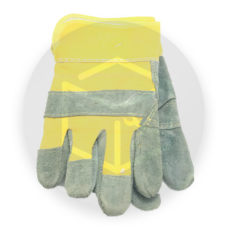 Gan-tissue-PM3.png